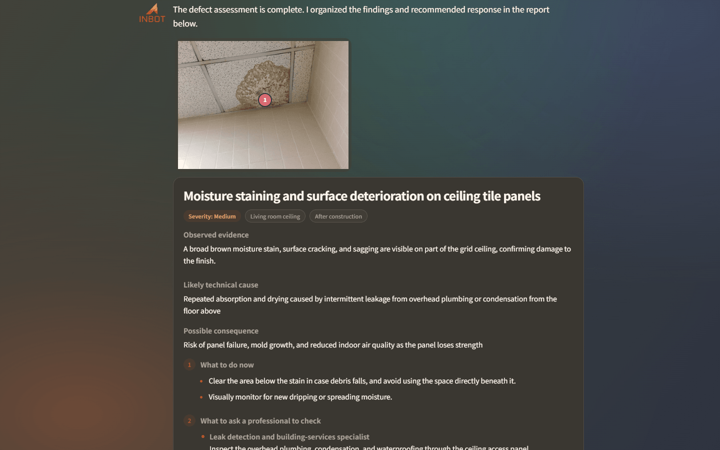 English INBOT conversation showing a structured defect report